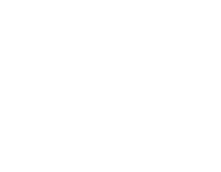 ACAsset 1