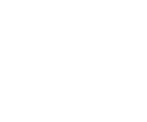 ACAsset 2